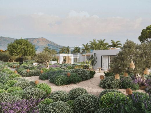 Teren w Ibiza, Illes Balears