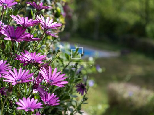 Villa in A Cañiza, Pontevedra