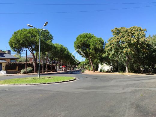 Villaviciosa de Odón, マドリッドのヴィラ