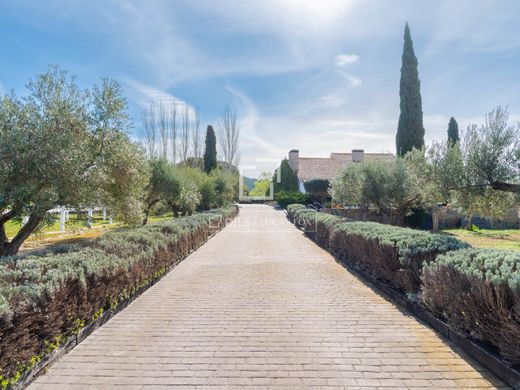 Villa in Requena, Valencia