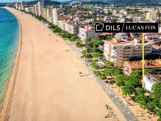 Apartment in Platja d'Aro, Province of Girona
