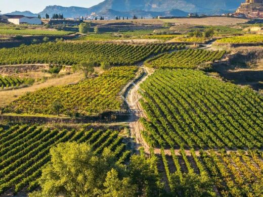 Terreno a Bastida / Labastida, Araba / Álava