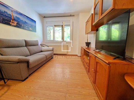 Apartment in Incles, Canillo