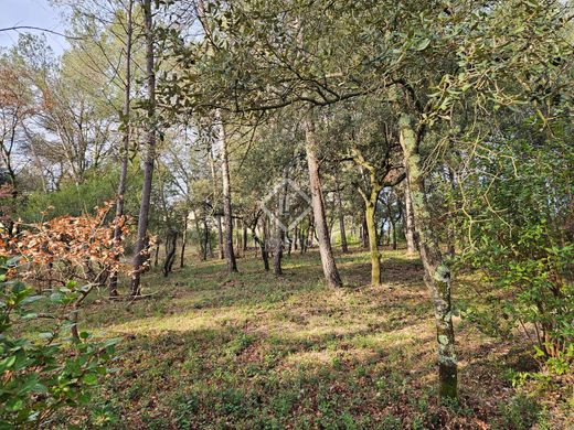 Land in Saint-Clément-de-Rivière, Hérault