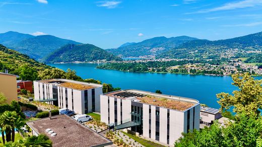 Apartament w Montagnola, Lugano