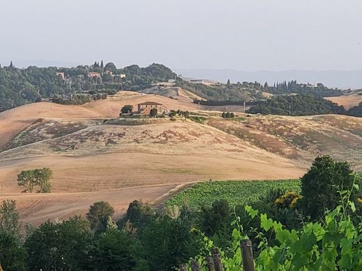 Castelnuovo Berardenga, Provincia di Sienaの土地