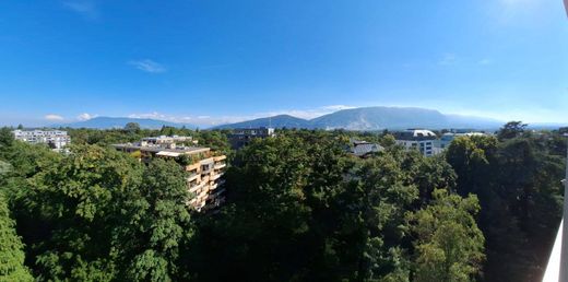 Daire Cenevre, Geneva