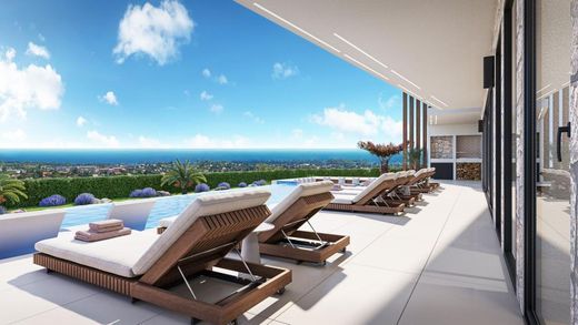 Villa Poreč, Grad Poreč