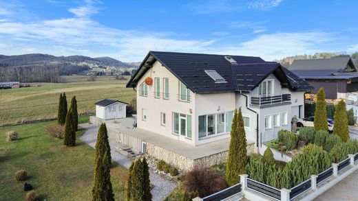 Hotel en Ravna Gora, Primorje - Gorski Kotar