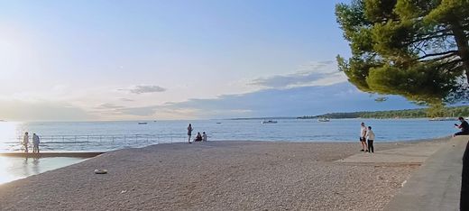 Villa - Fažana, Fažana-Fasana