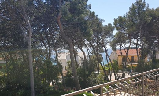 Albergo a Rovigno, Grad Rovinj