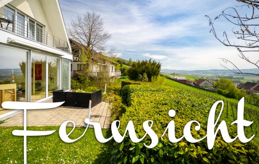 Luxury home in Niederneunforn, Bezirk Frauenfeld