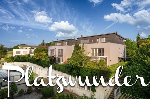 Luxus-Haus zu verkaufen in Seuzach Dorf