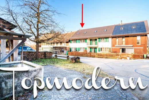 Luxury home in Rickenbach, Bezirk Winterthur