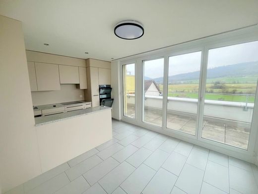 Appartement à Wangen, Bezirk Olten