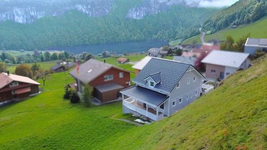 Casa de luxo - Seelisberg, Uri