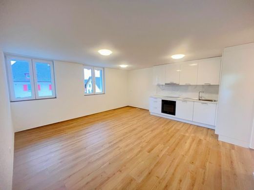 Apartamento - Erlinsbach, Bezirk Gösgen