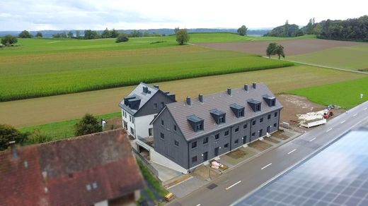 Lüks ev Oberneunforn, Bezirk Frauenfeld