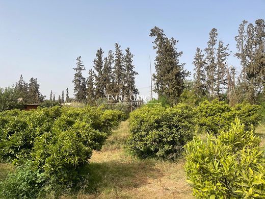 マラケシュ, Marrakechの土地