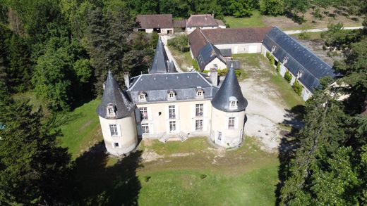قلعة ﻓﻲ Bergerac, Dordogne