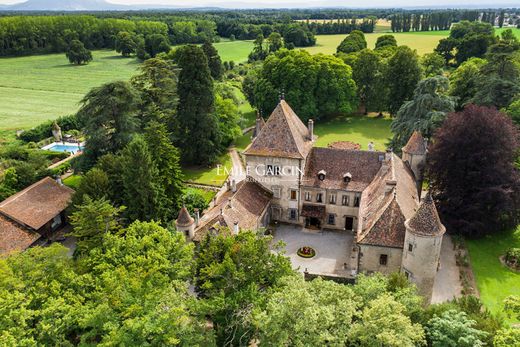 Kasteel in Douvaine, Haute-Savoie