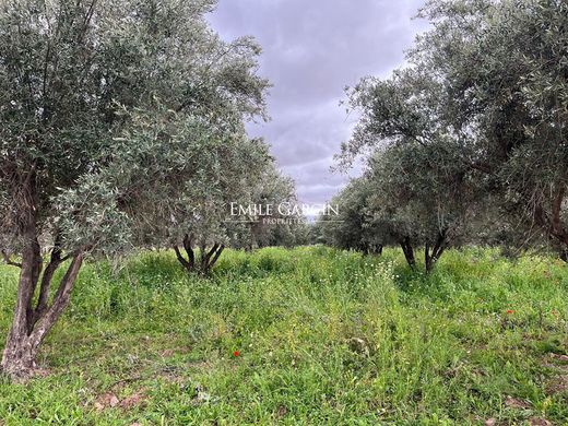 Αγροτεμάχιο σε Μαρακές, Marrakech