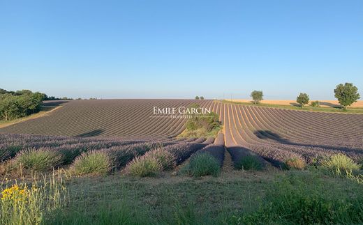 Casa de luxo - Valensole, Alpes da Alta Provença