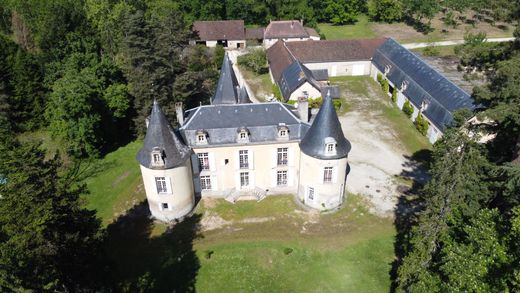 Kasteel in Bergerac, Dordogne