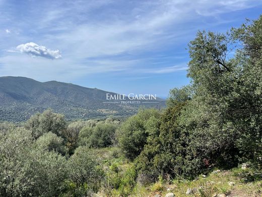 Teren w Lama, Upper Corsica