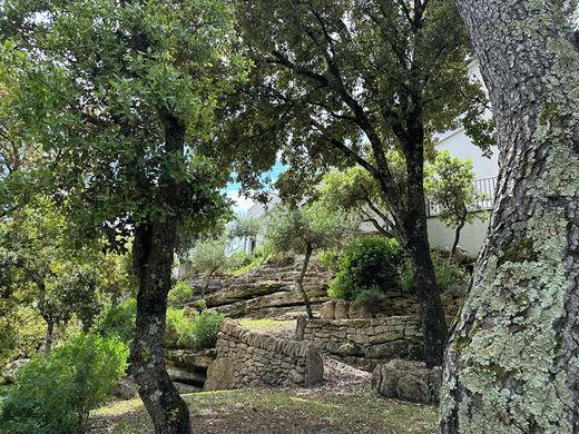 Casa de luxo - Uzès, Gard