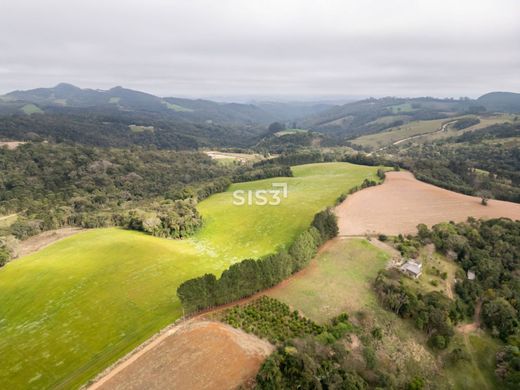 Landhaus / Bauernhof in Campo Largo, Paraná