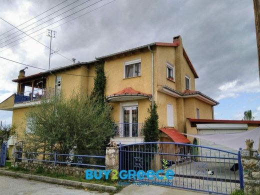 Maison de luxe à Maniákoi, Nomós Kastoriás