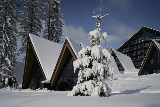 Maison de luxe à Hinterstoder, Politischer Bezirk Kirchdorf an der Krems