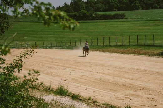 ‏חווה ב  Sinzing, Upper Palatinate