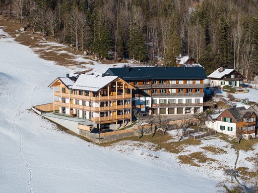 Apartment in Grundlsee, Politischer Bezirk Liezen