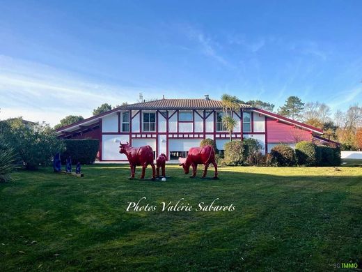 Villa en Saubion, Landas