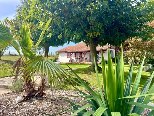 Willa w Saint-Palais, Pyrénées-Atlantiques