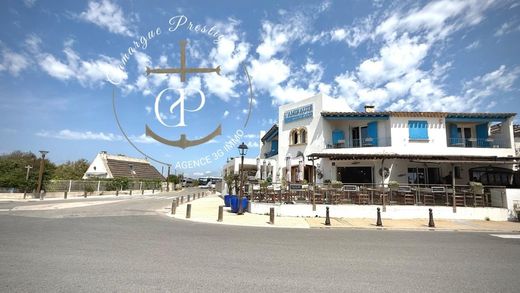 ‏וילה ב  Saintes-Maries-de-la-Mer, Bouches-du-Rhône