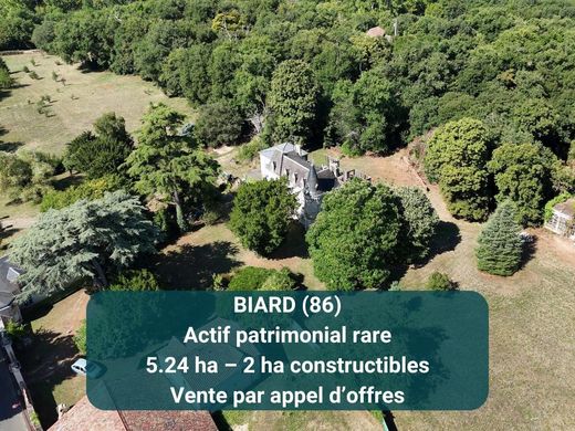Castle in Biard, Vienne