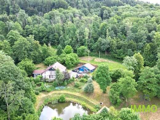Villa in Fresse, Haute-Saône