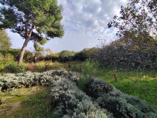 Land in Marseillan, Hérault