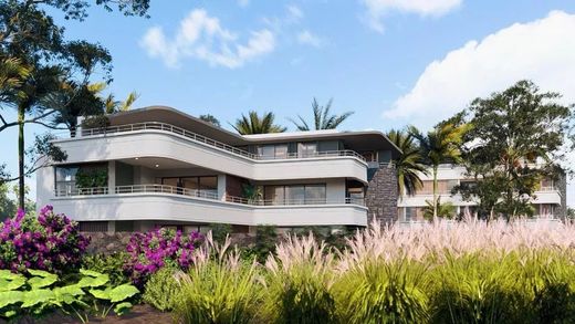 Daire Mapou, Rivière du Rempart District