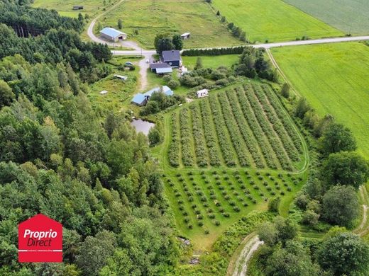 Chesterville, Centre-du-Québecのカントリーハウス