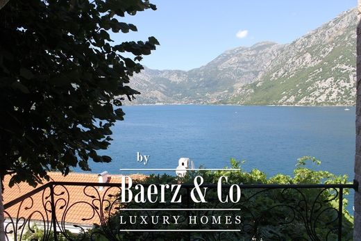 Apartament w Kotor