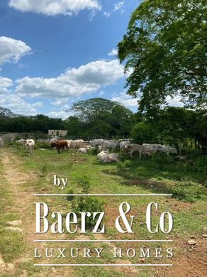 ‏בתים כפריים או חוות ב  Izamal, Estado de Yucatán