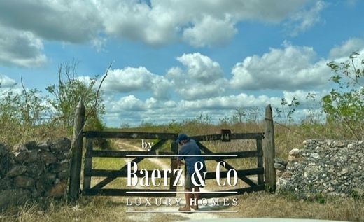 Rural or Farmhouse in Sudzal, Yucatán