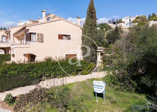 토지 / 팔마데마요르카, Illes Balears