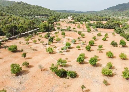 Terrain à Manacor, Province des Îles Baléares