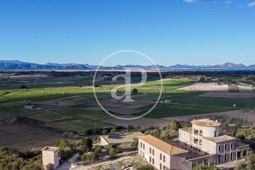 Land in Santa Margalida, Province of Balearic Islands