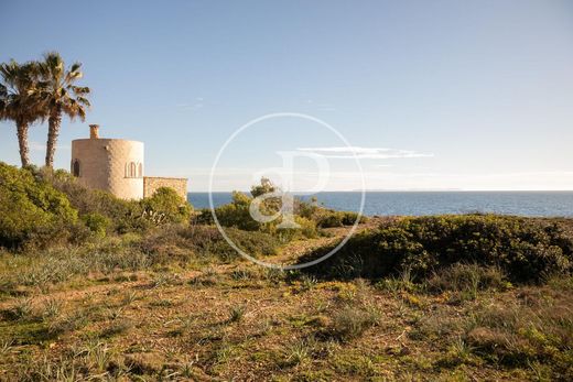 토지 / Llucmajor, Illes Balears